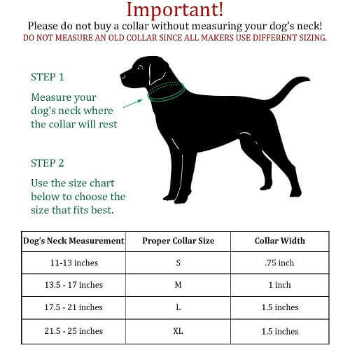 dog collar size