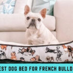 Best Dog Bed for French Bulldog