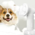 The Benefits of Grooming Your Dog with a Bath Brush