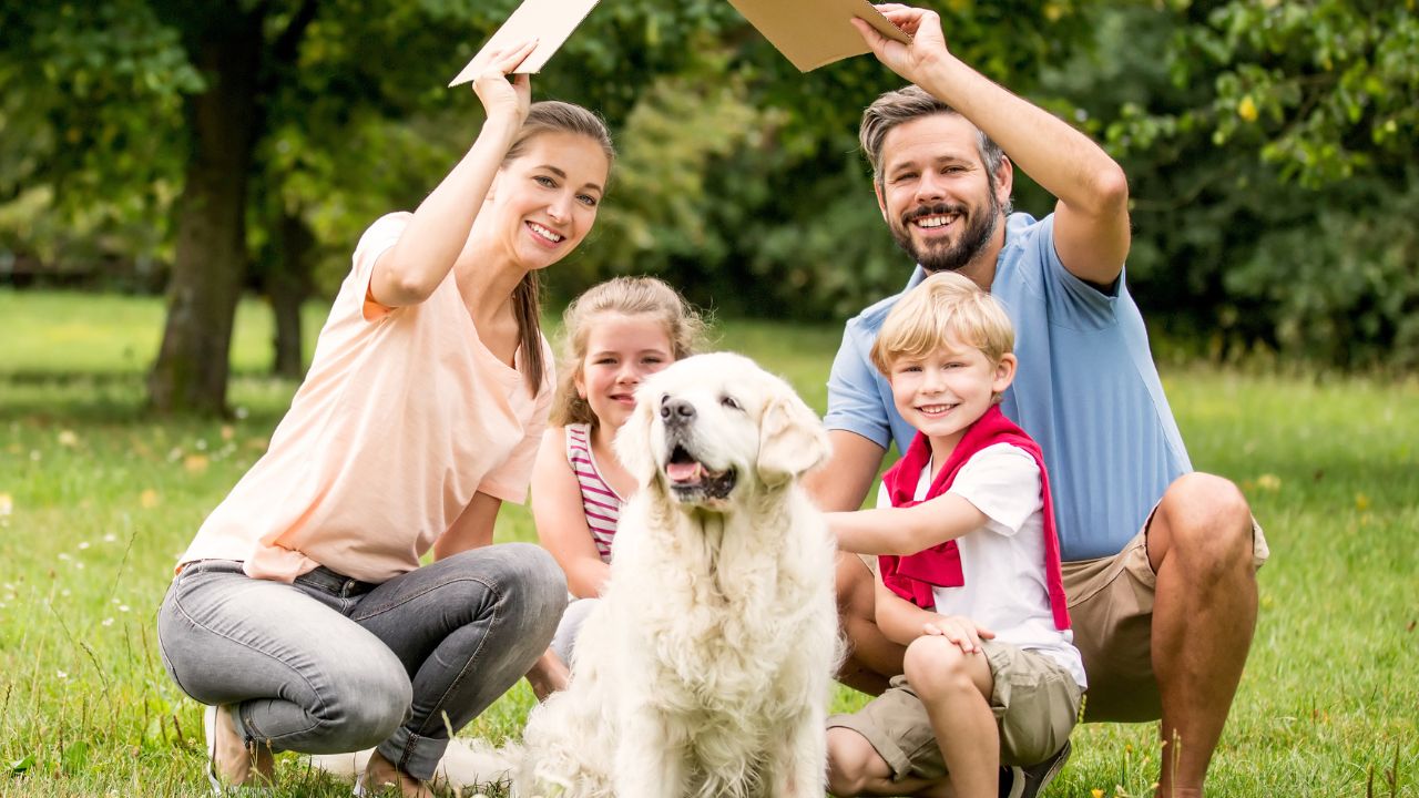 How to Choose the Perfect Family Protection Dog